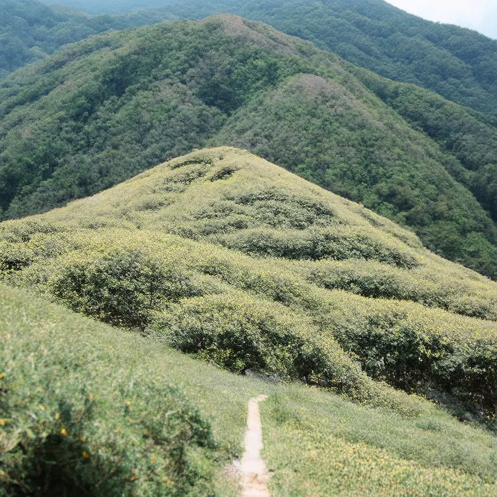 岡山弁クイズ